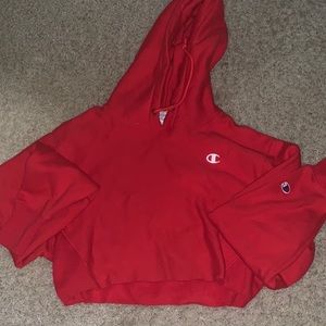 Champion hoodie crop top